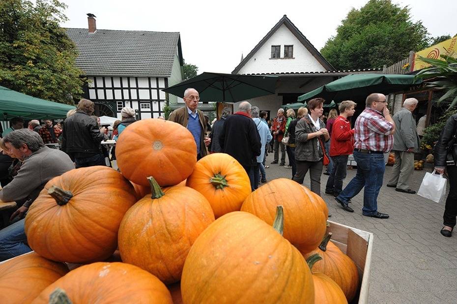 DIX auf dem Tag der Regionen 2025 in Rödinghausen DIX auf dem Tag der Regionen 2025 in Rödinghausen